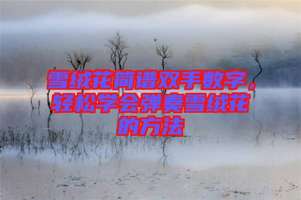 雪絨花簡(jiǎn)譜雙手?jǐn)?shù)字，輕松學(xué)會(huì)彈奏雪絨花的方法