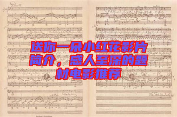 送你一朵小紅花影片簡介，感人至深的題材電影推薦