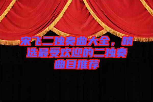 宋飛二獨(dú)奏曲大全，精選最受歡迎的二獨(dú)奏曲目推薦
