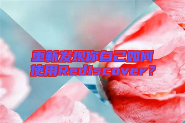 重新發(fā)現(xiàn)你自己如何使用Rediscover？