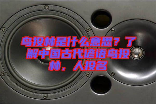 鳥(niǎo)投林是什么意思？了解中國(guó)古代諺語(yǔ)鳥(niǎo)投林，人投名