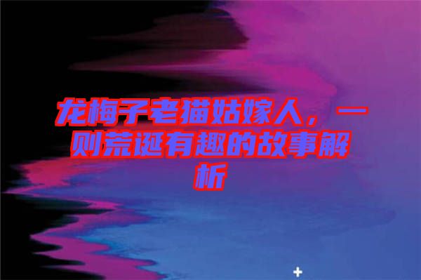 龍梅子老貓姑嫁人，一則荒誕有趣的故事解析