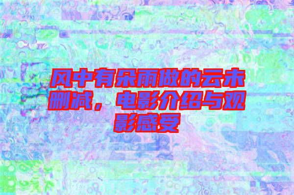 風中有朵雨做的云未刪減，電影介紹與觀影感受