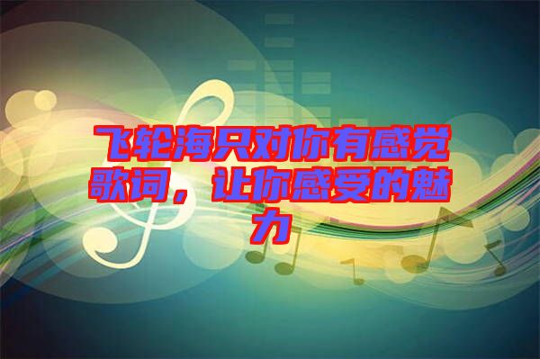 飛輪海只對你有感覺歌詞，讓你感受的魅力