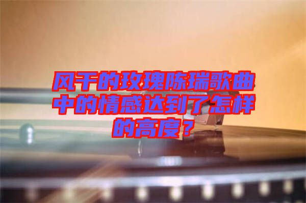 風(fēng)干的玫瑰陳瑞歌曲中的情感達到了怎樣的高度？