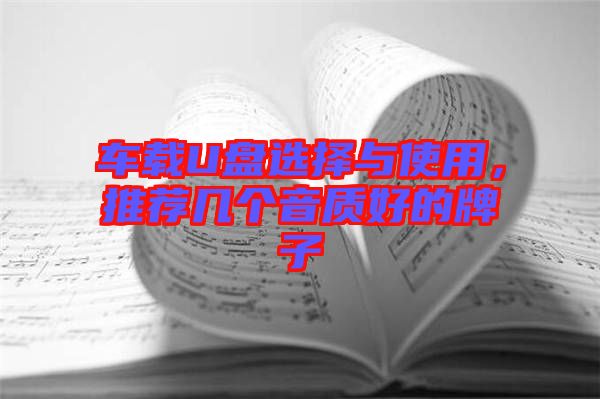 車載U盤選擇與使用，推薦幾個(gè)音質(zhì)好的牌子