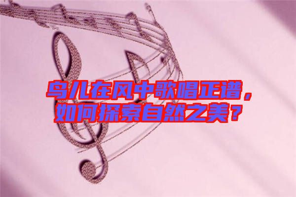 鳥兒在風(fēng)中歌唱正譜，如何探索自然之美？