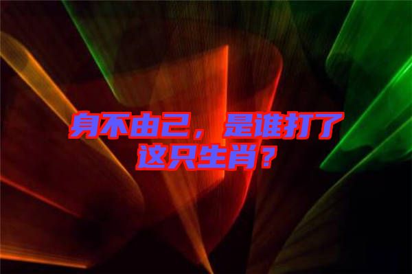 身不由己，是誰打了這只生肖？