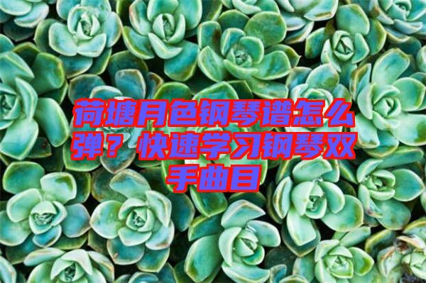 荷塘月色鋼琴譜怎么彈？快速學(xué)習(xí)鋼琴雙手曲目
