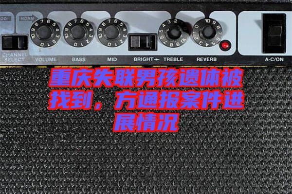 重慶失聯(lián)男孩遺體被找到，方通報案件進展情況