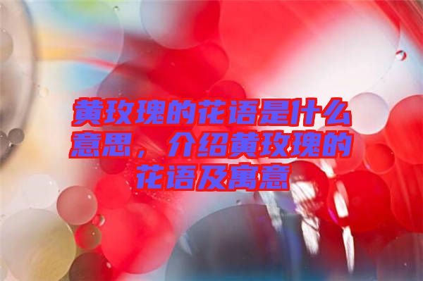 黃玫瑰的花語是什么意思，介紹黃玫瑰的花語及寓意