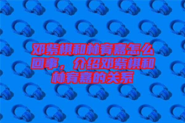 鄧紫棋和林宥嘉怎么回事，介紹鄧紫棋和林宥嘉的關系