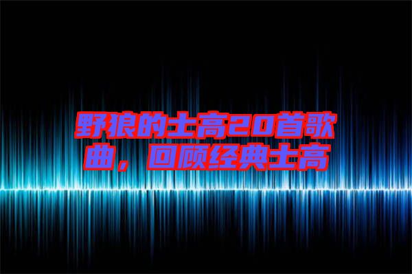 野狼的士高20首歌曲，回顧經(jīng)典士高
