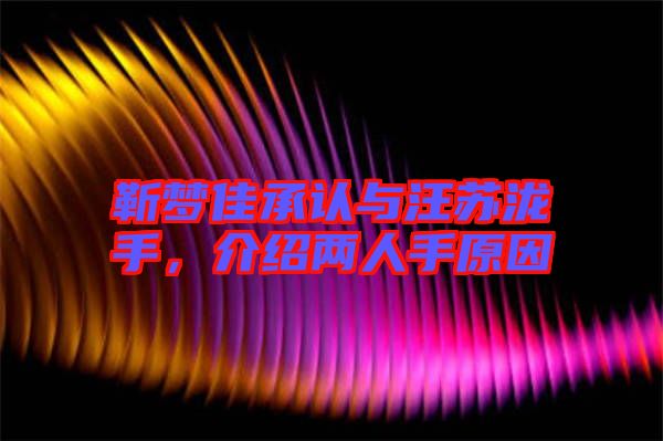 靳夢佳承認(rèn)與汪蘇瀧手，介紹兩人手原因