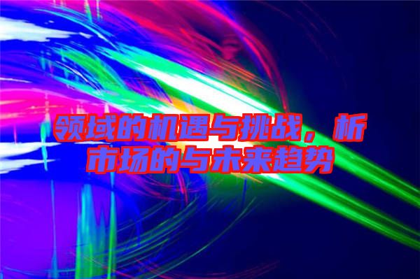 領(lǐng)域的機(jī)遇與挑戰(zhàn)，析市場(chǎng)的與未來趨勢(shì)