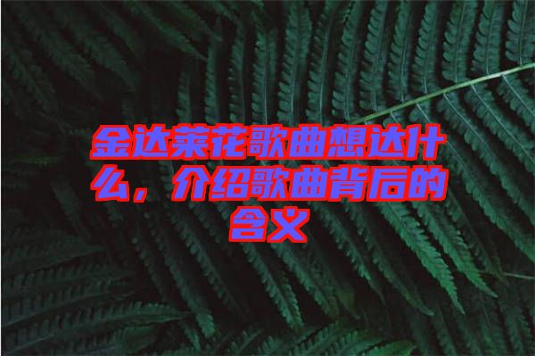 金達(dá)萊花歌曲想達(dá)什么，介紹歌曲背后的含義